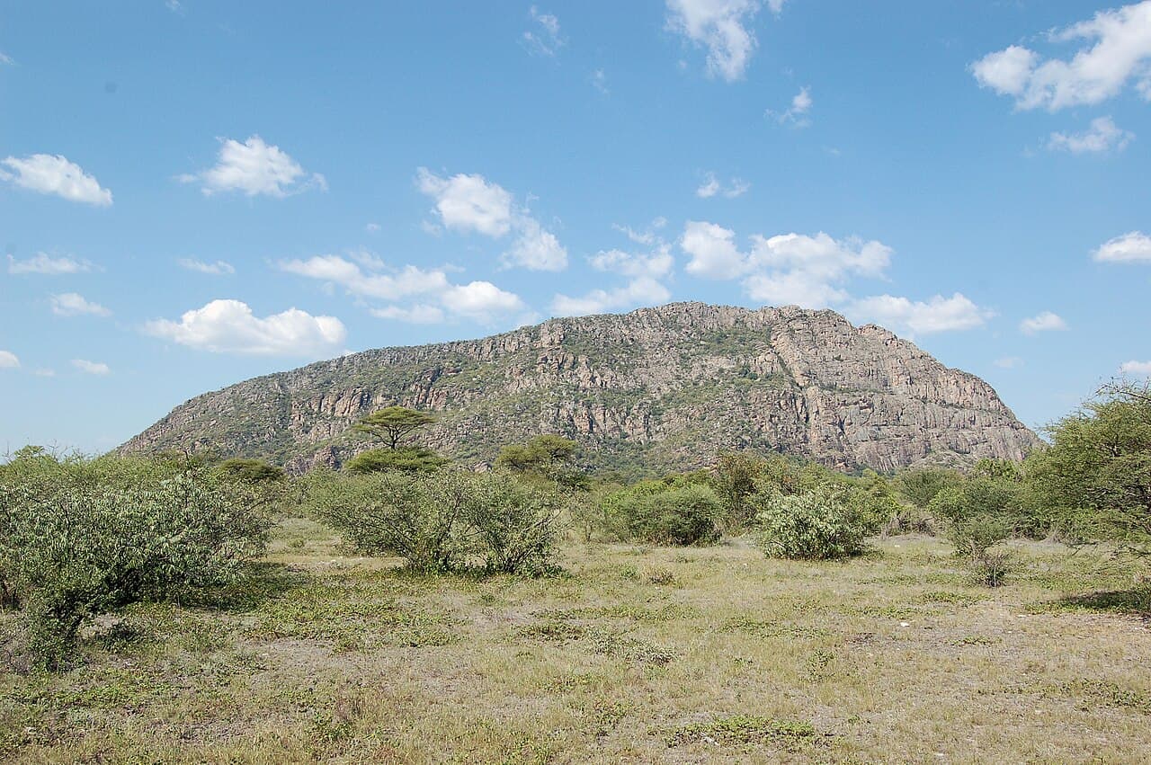 Orange and red rock face at Tsodilo Hills showing ancient San rock paintings of animals