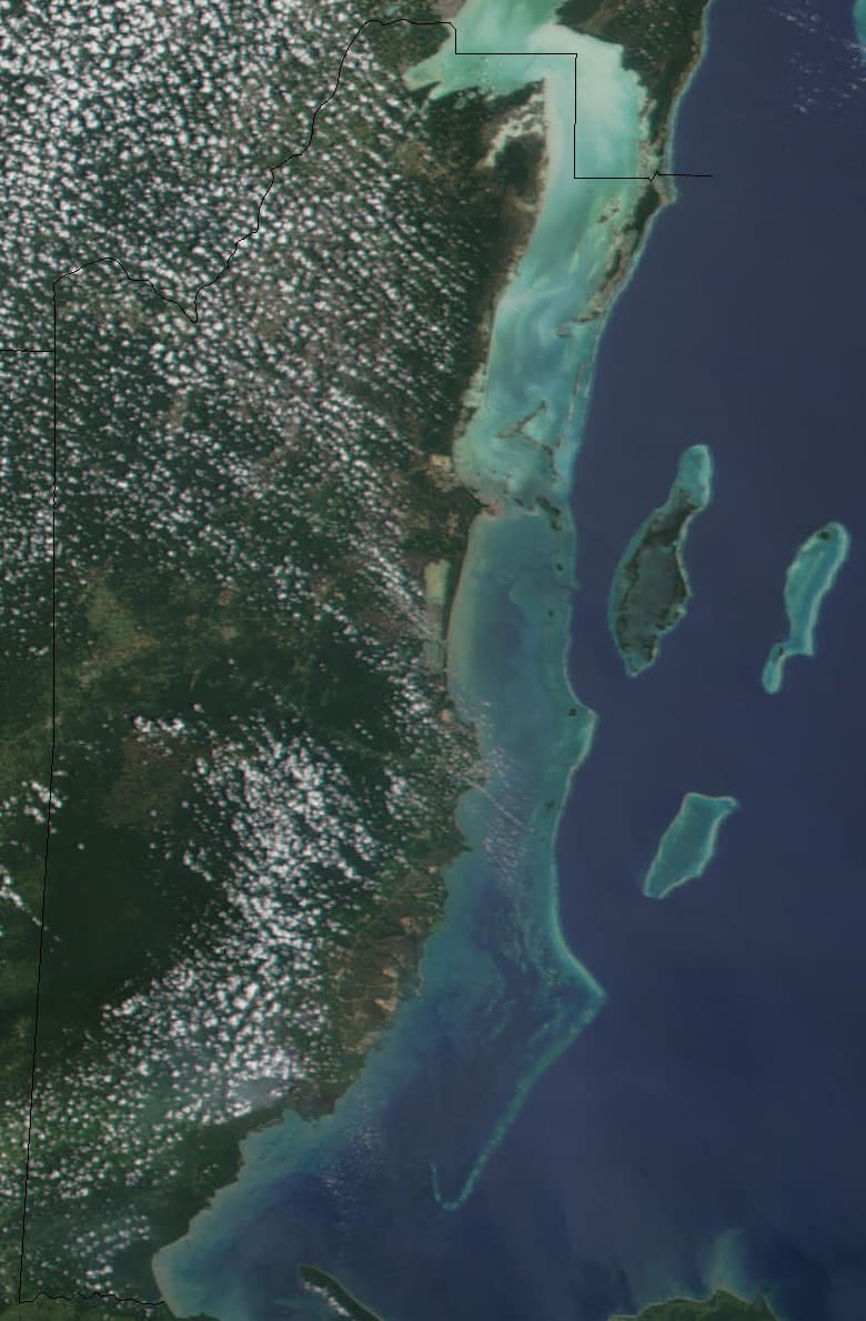 Colourful coral and tropical fish beneath the clear Caribbean Sea