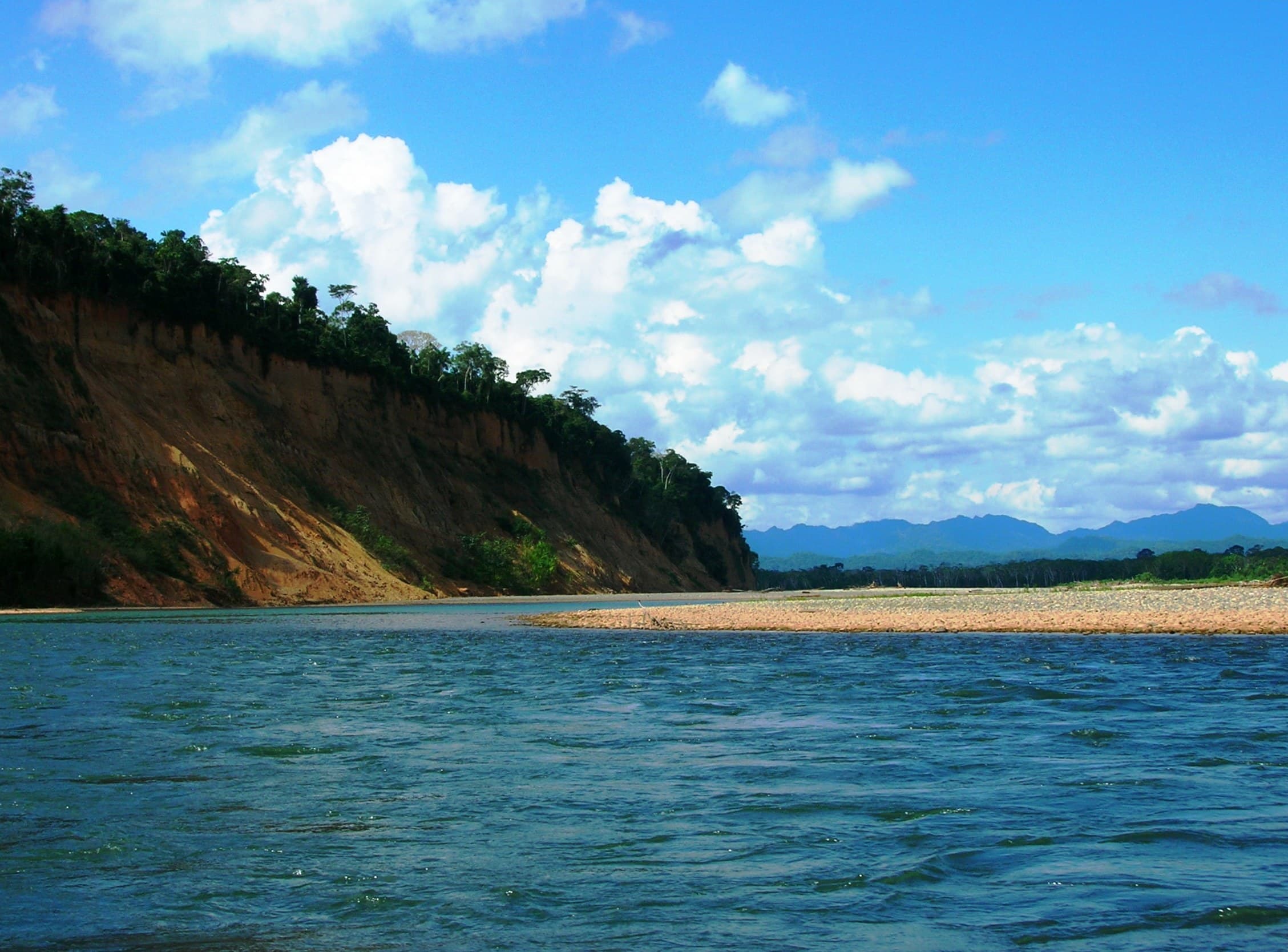 Dense green rainforest canopy in Madidi National Park with a winding river below