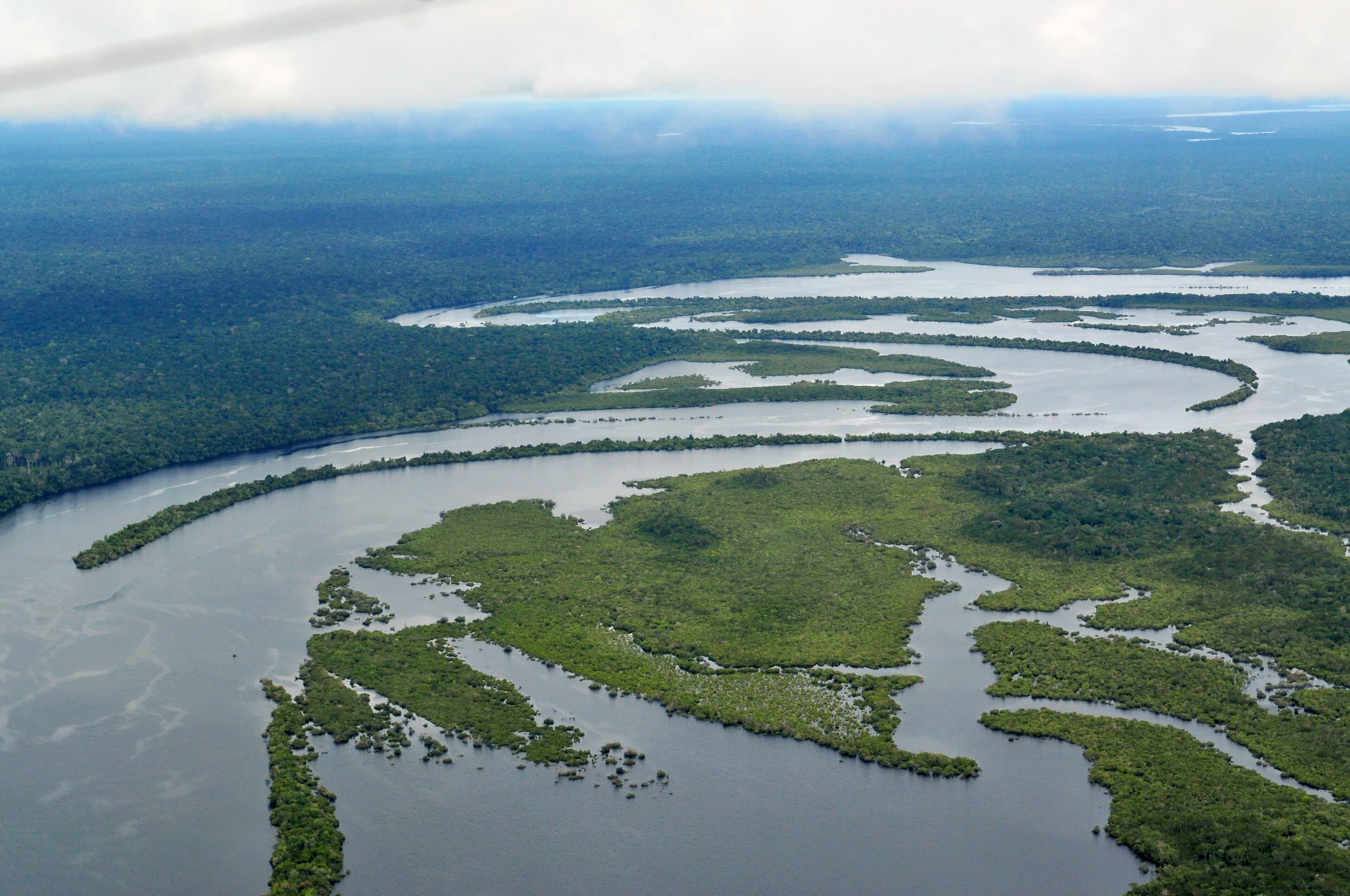 A lush green canopy of Amazon rainforest seen from above, with a winding river below