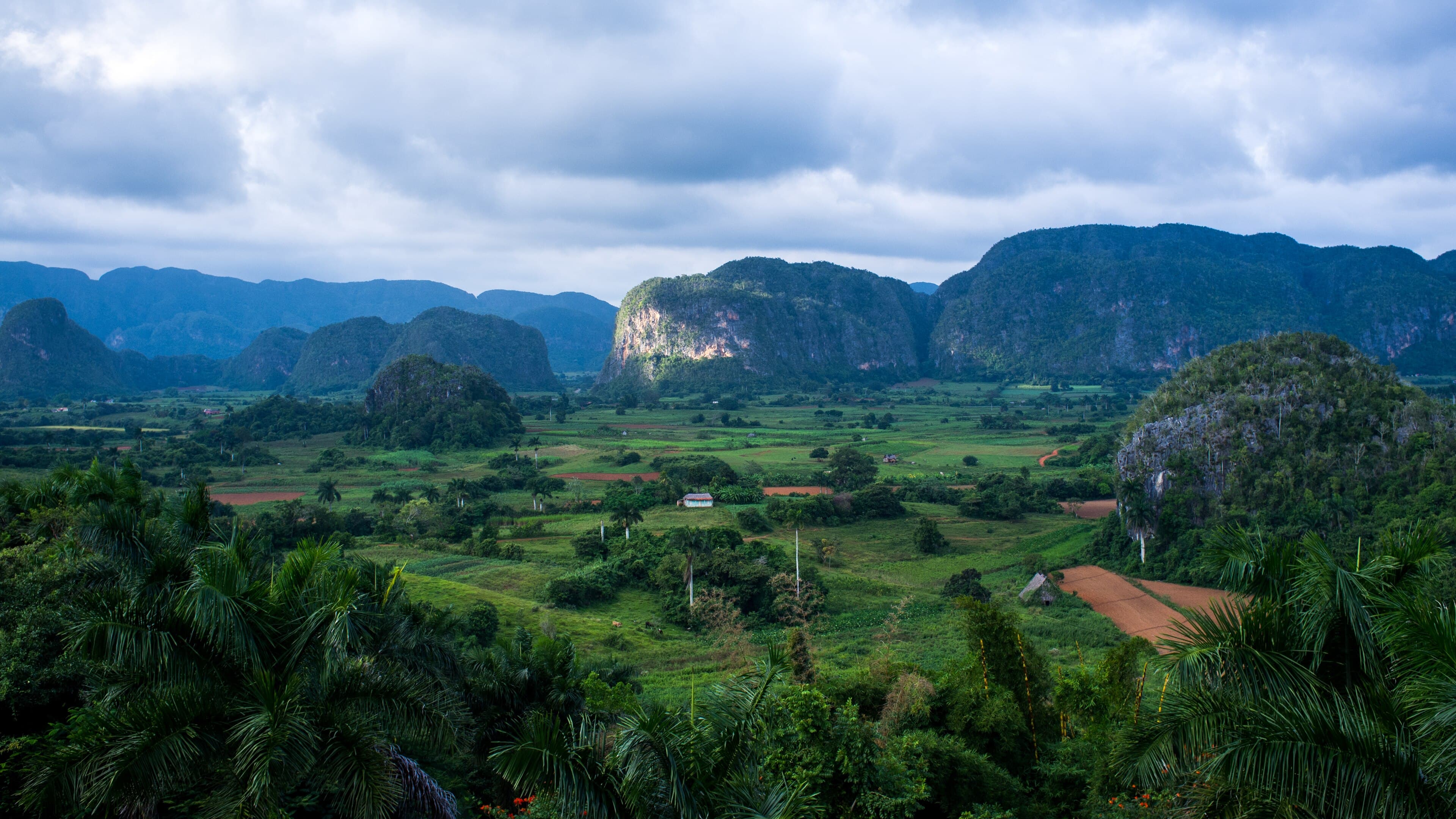 Lush green valley in Viñales with dramatic rounded limestone mogote hills in the background