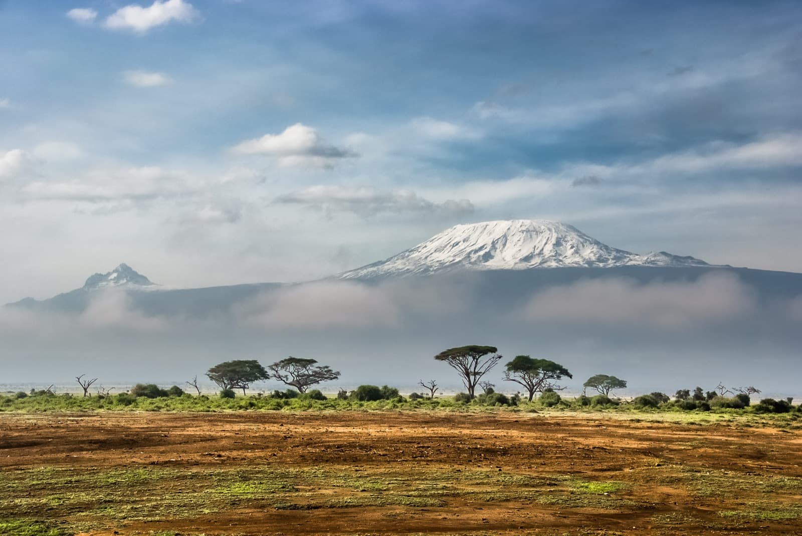 The snow-capped peak of Mount Kilimanjaro rising above the savannah